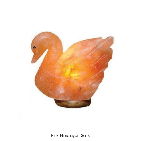 Animal Shaped Pink Salt Lamps - Duck